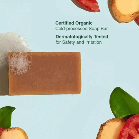 Juicy Chemistry Potato ,Tomato & Lemongrass Bar 100 gm/3.53oz