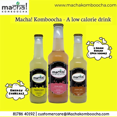 Macha! Komboocha - Pineapple Punch - Pack of 4