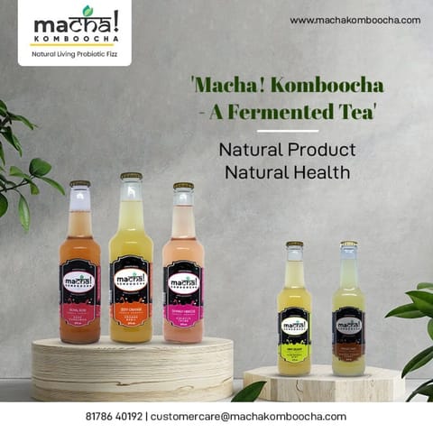 Macha! Komboocha - Marvelous Melons  - Pack of 4