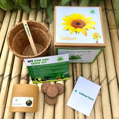 Sow and Grow DIY Gardening Kit of Sunflower