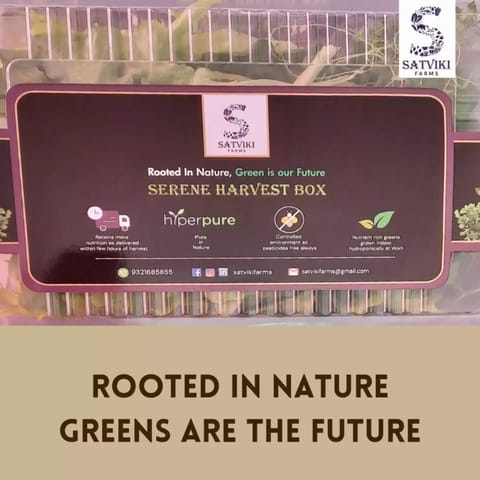 Satviki Farms Serene Harvest Box