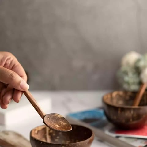 Thenga Mini Random Coconut Bowl- Shell - Spoon for Serving Dessert Bowl 110 ml Brown - Set of 2