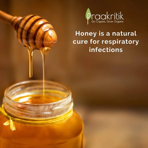 Praakritik Natural Wild Forest Honey 500 ml