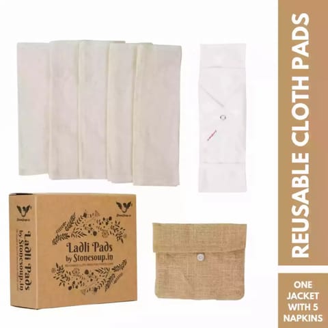 Stonesoup Petals EcoFriendly Reusable Laadli Pad Kit