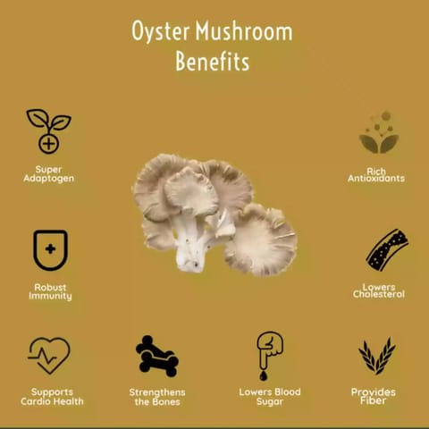 Rooted Oyster Mushroom Extract Powder 60 gms