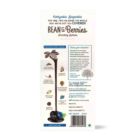 Bean To Berries Chocolate Coated Blueberries 80 gms