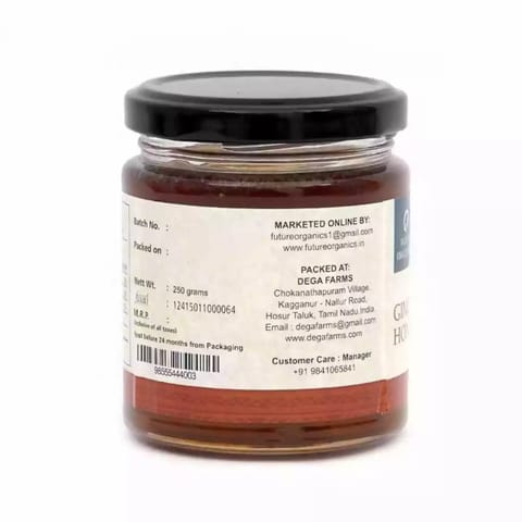 Future Organics Ginger RAW Honey 250 gms