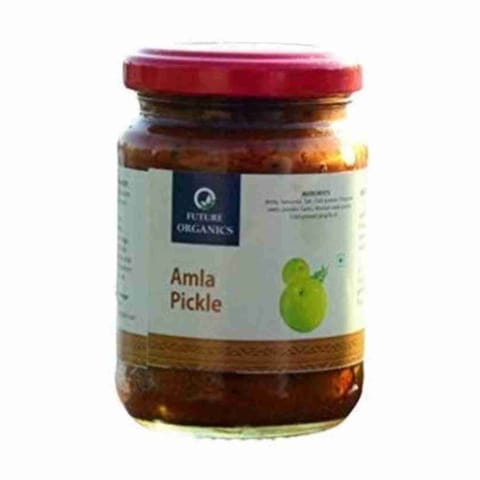 Future Organics Amla Pickle 160 gms Each Pack of 2