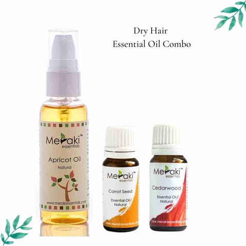 Meraki Essentials Dry Hair Combo I Cedarwood and Carrot Seed Essential Oil  I Apricot Oil