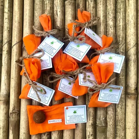 Diwali Wooden Box Hamper: Plantable Notepad + Diwali Themed Chocolates + Seed Balls + Plantable Pens