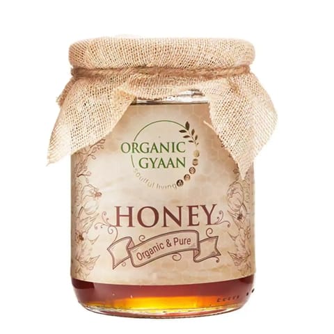 Organic Gyaan Organic Honey 600g