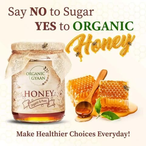 Organic Gyaan Organic Honey 600g