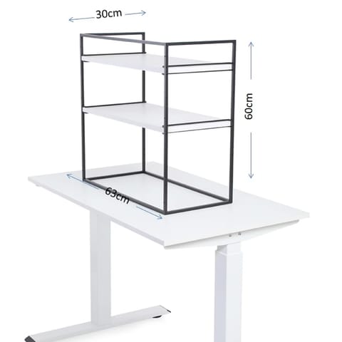 Fitizen Zen Ergonomic Height Adjustable Standing Desk (Black & Frosty White)