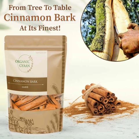 Organic Gyaan Organic Cinnamon Bark / Dalchini (100 gms)