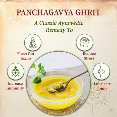 Organic Gyaan Panchgavya Ghrit - Pure Desi Ghee 250ml