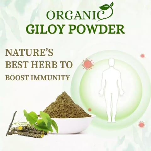 Organic Gyaan Giloy Powder (100 gms)