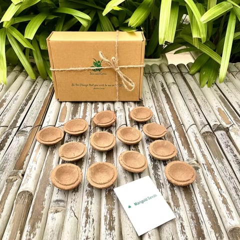 Organic Cow Dung Diyas: Set of 48 with a pack of Marigold Seeds | First Use, Then Grow