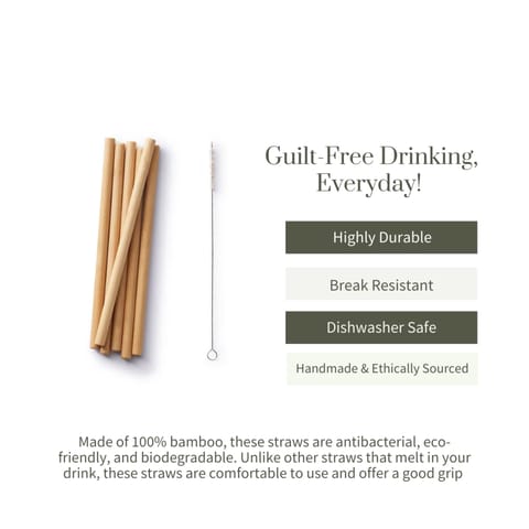 Ecotyl Bamboo Straw - Set of 6 + Straw Cleaning Brush  (6 Pc)