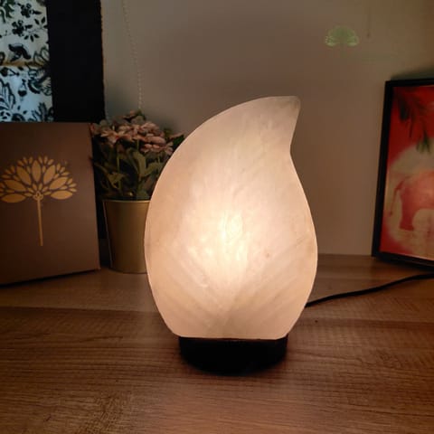 Bodhsara Healing Leaf Himalayan Salt Lamp