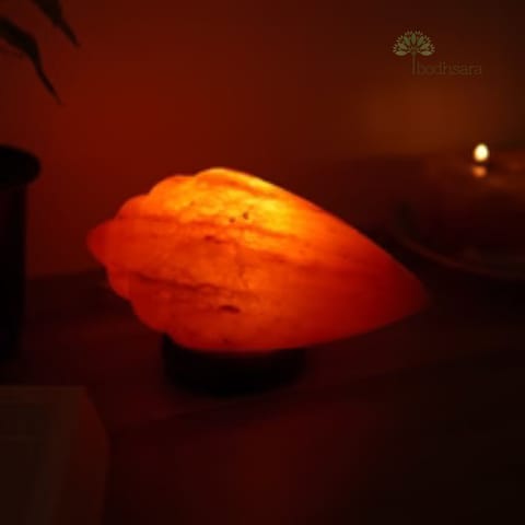Bodhsara Counch (Shanq) Healing Himalayan Pink Salt Lamp