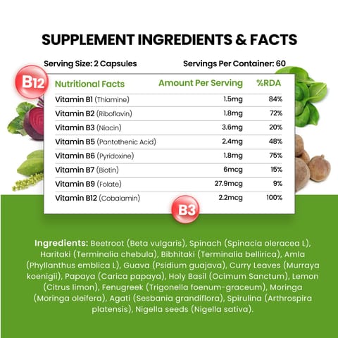 Himalayan Organics Plant Based Vitamin B-12 |120 Capsules