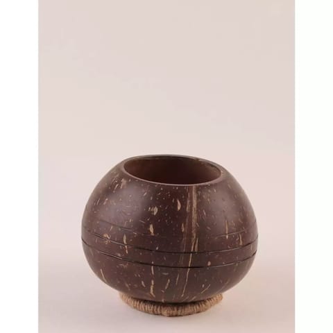 Lagom India Upcycled coconut shell indoor/outdoor planter- PUSHPA planter
