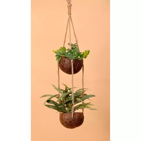 Lagom India Up-cycled discarded coconut shell planter- Harita planter