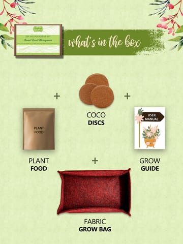 Bombay Greens DIY Microgreens Eco-Friendly Kit - Sweet Basil