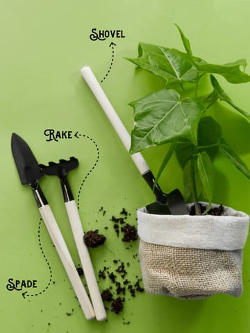 Bombay Greens 3 in 1 Mini Gardening Tools Kit (Set of 3)