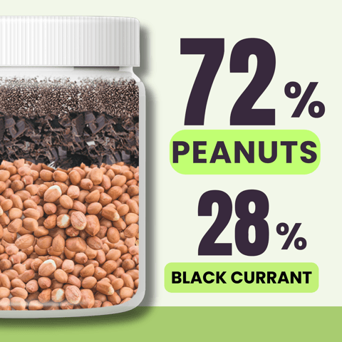 Kikibix Black Currant Peanut Butter (340 gms)
