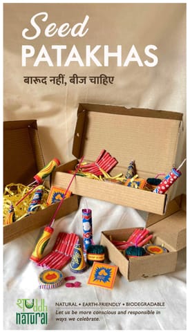 Shuddh Natural Plantable Crackers with Plantable Box | Seed Crackers | Beej Patakha | Festive Gifting | Set of 4