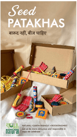 Shuddh Natural Plantable Crackers with Plantable Box | Seed Crackers | Beej Patakha | Festive Gifting | Set of 6