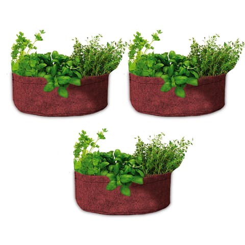 Bombay Greens Geo Fabric Grow Bags 400 GSM (Pack of 3, Each 12x4 inches, Red)