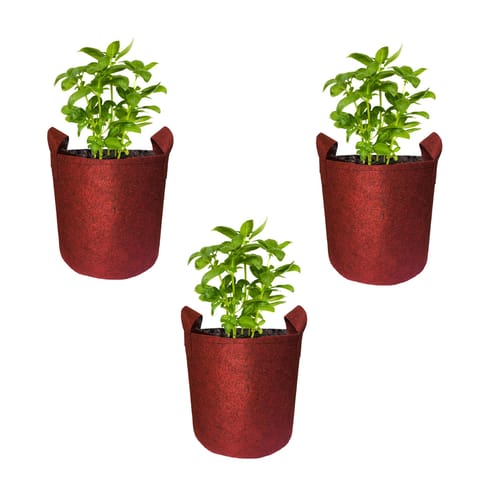 Bombay Greens Geo Fabric Grow Bags 400 GSM (Pack of 3, Each of 18x18 inches, Red)