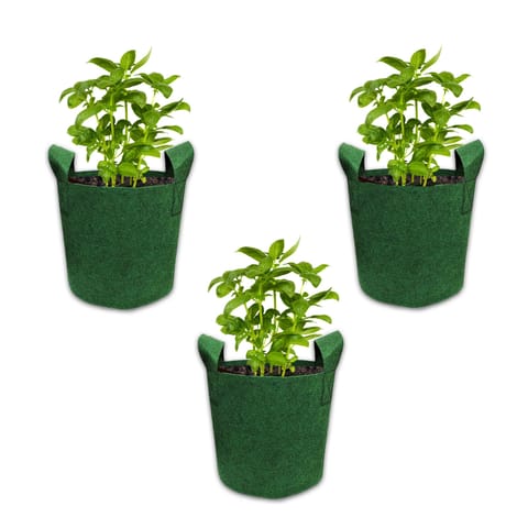 Bombay Greens Geo Fabric Grow Bags 400 GSM (Pack of 3, Each of 12x12 inches, Green)