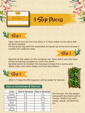 Bombay Greens DIY Microgreens Eco-Friendly Kit - Mustard