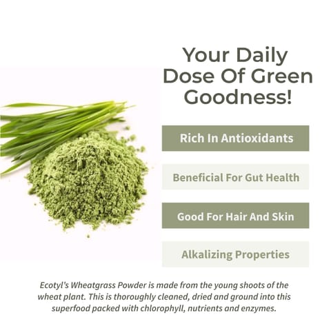 Ecotyl Wheatgrass Powder | Superfood for Immunity & Detox (100 gms)