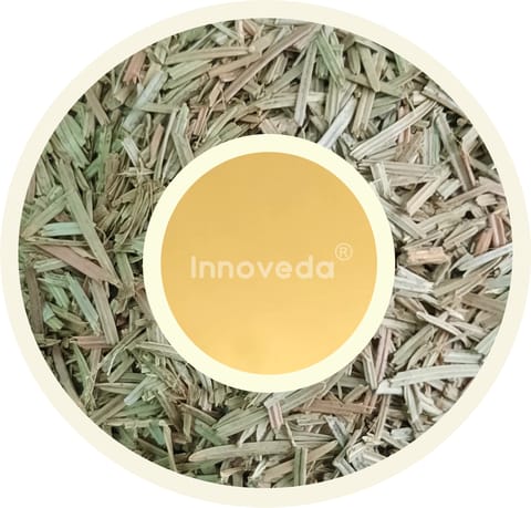 Innoveda White Pine Needle Tea Vitamin-C Rich (50 gms, 40-50 Tea Cups)