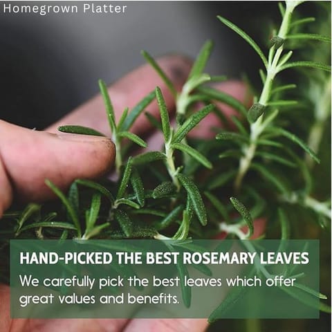 Homegrown Platter Dried Rosemary Leaves - 50 gms | For Hair Growth | Rosemary Herbal Tea from Uttarakhand | Organic | 100% Pure and Natural