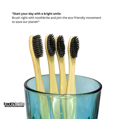 Toothbrite Organic Bamboo Toothbrush with Charcoal Activated Bristles Couple (pack of 2)