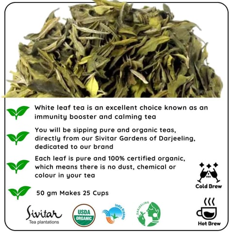 Radhikas Fine Teas and Whatnots CALMING White Leaf - How White Tea Can Help You Relax and Focus