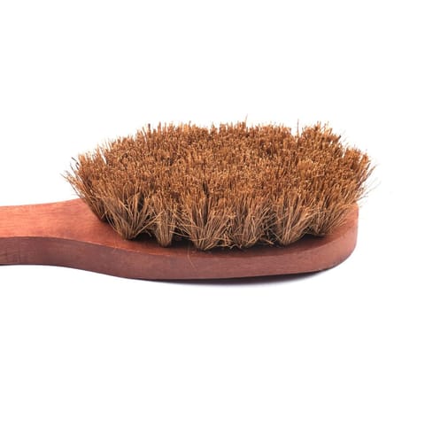 Scrapshala | Coconut Coir Dry Body Brush | Sturdy | Biodegradable | Plastic-Free