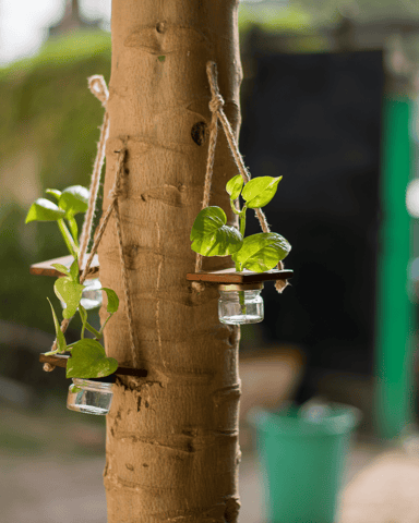 Scrapshala | Mini Jar Hanging Planter | Multipurpose | Upcycled